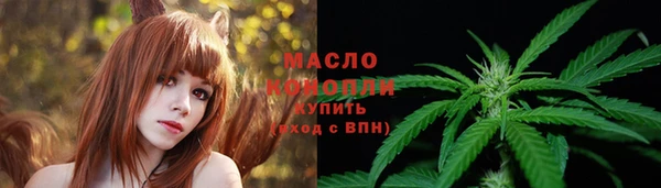СК Михайлов