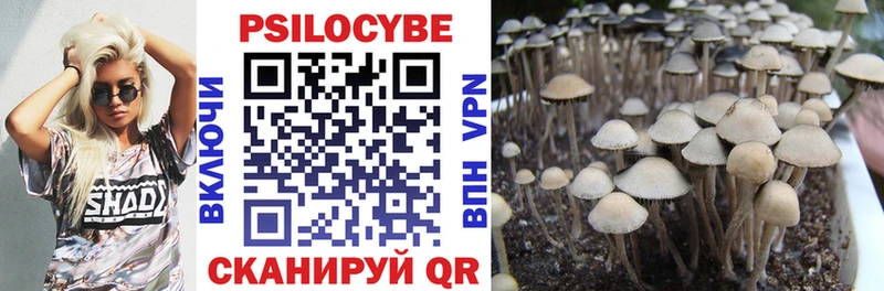 Псилоцибиновые грибы MAGIC MUSHROOMS  Мурино 
