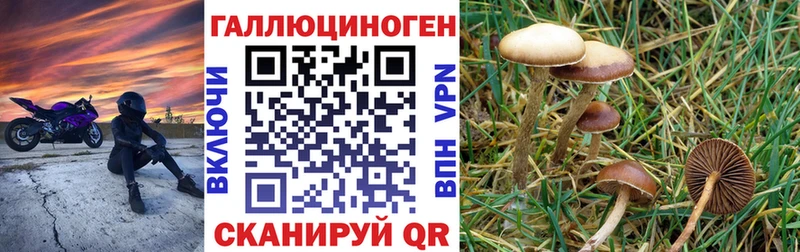 Галлюциногенные грибы ЛСД Мурино