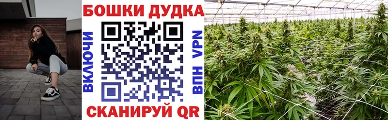 дарнет шоп  omg ссылки  Конопля марихуана  Мурино 